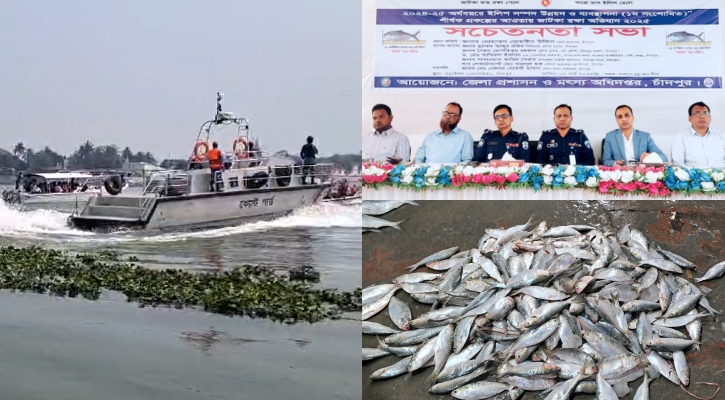 মেঘনায় ২৫ সেন্টিমিটারের চেয়ে ছোট ইলিশ শিকার বন্ধে কঠোর তৎপরতা